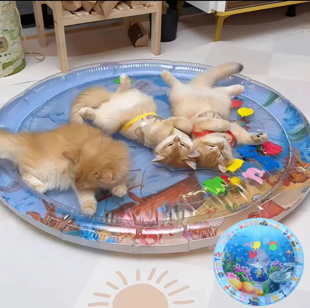 PlayfulPaws - Interactive Water Mat