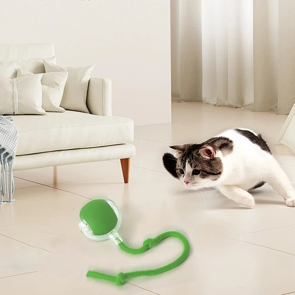 Interactive Cat Toy With Tail