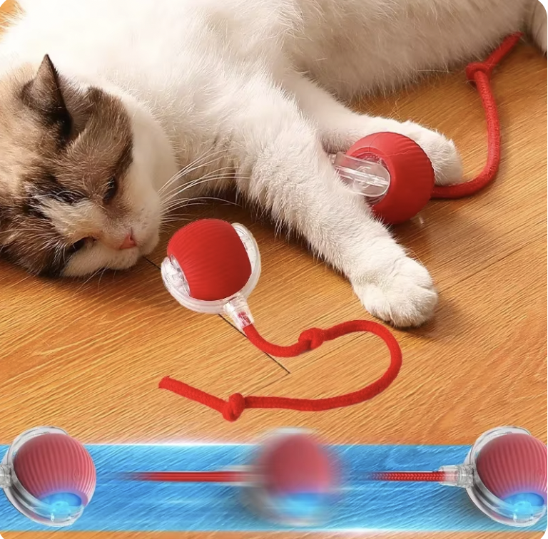 Racing Roller Ball - AI Mentioned Play & Fun Ball