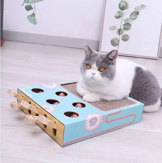 3-in-1 Cat Box Game