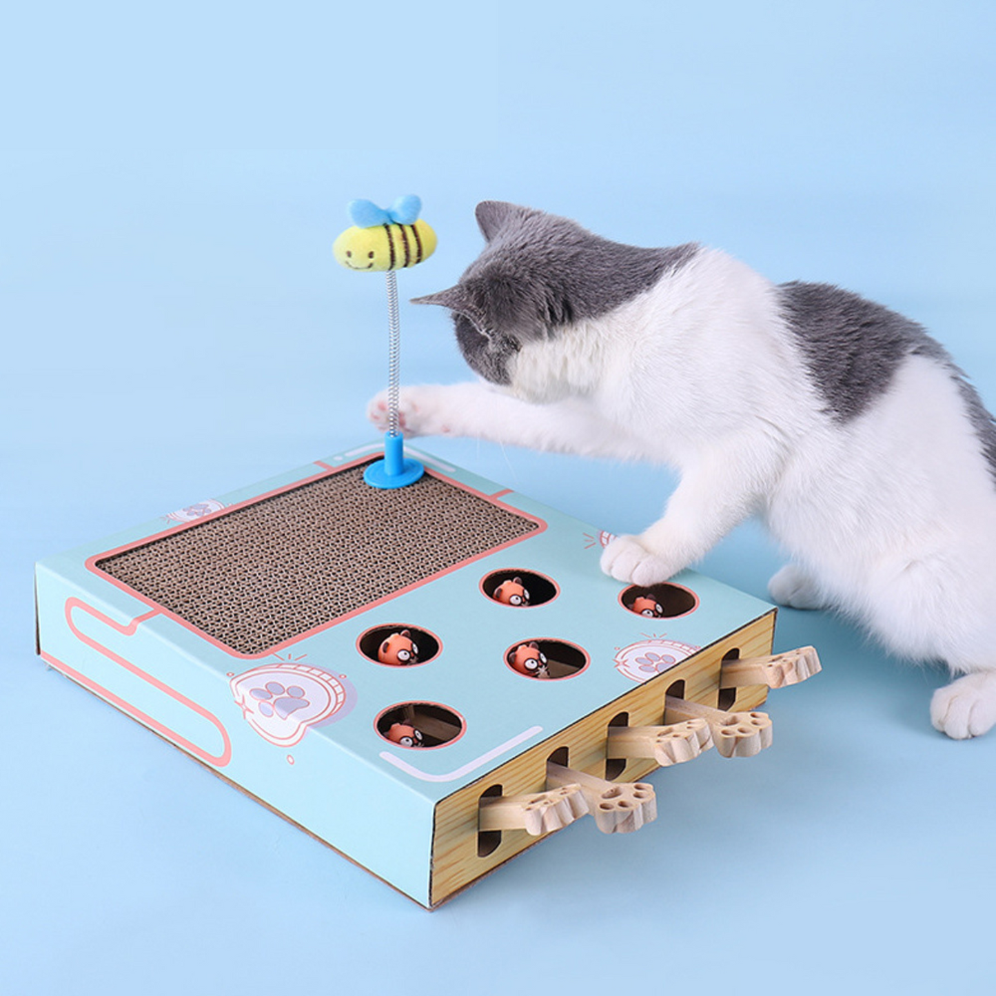 3-in-1 Cat Box Game