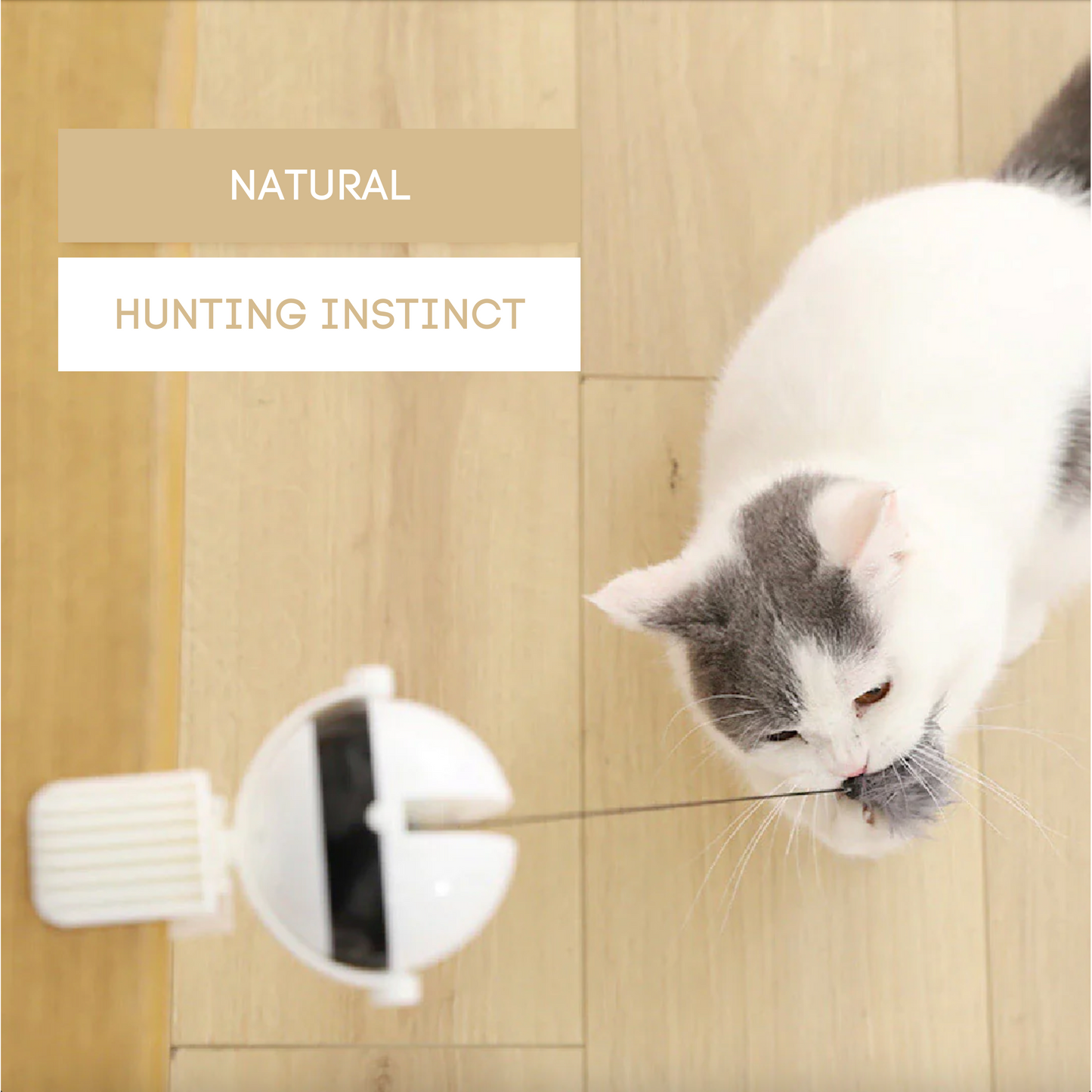 Cat Lifting Toy