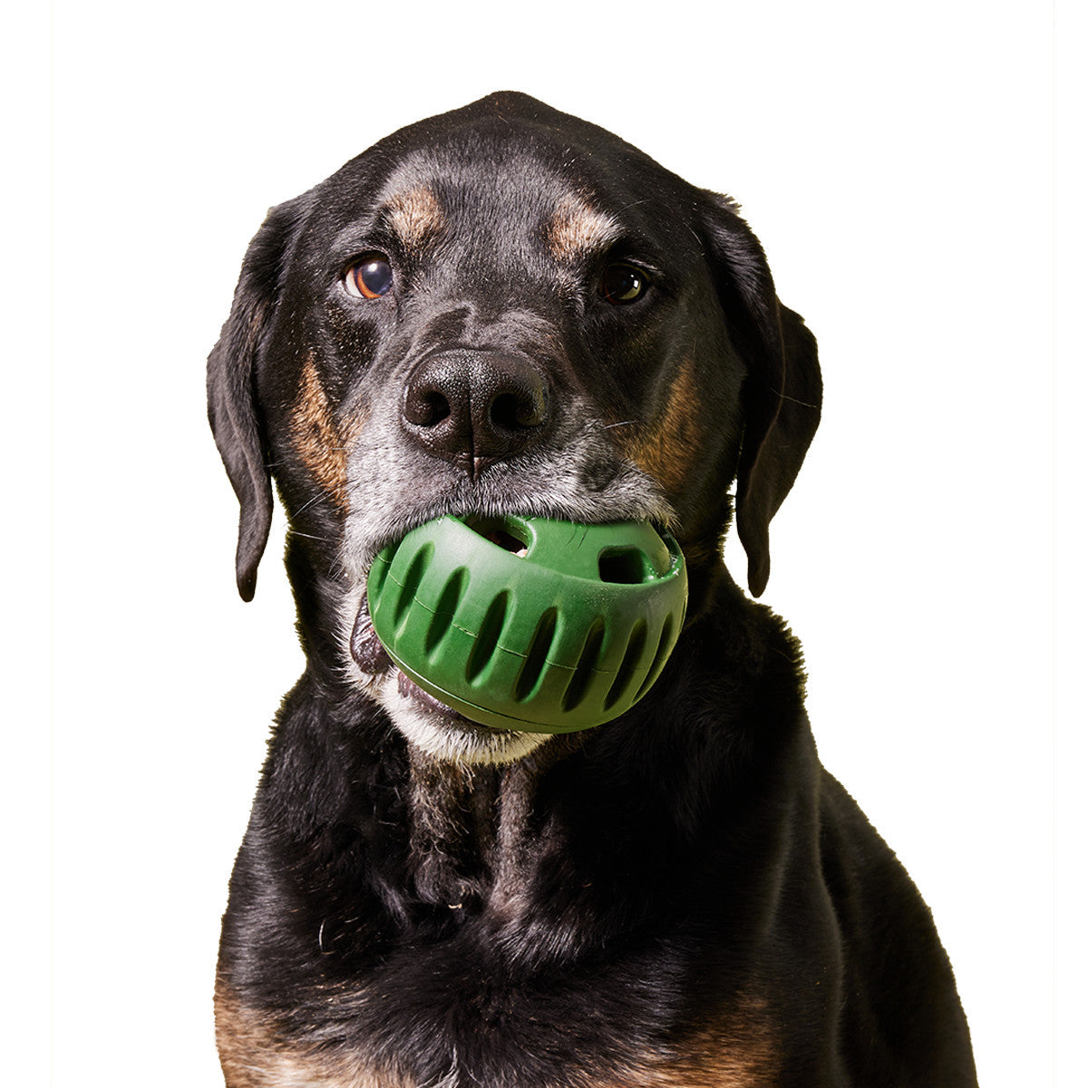 Freezable Treat Ball