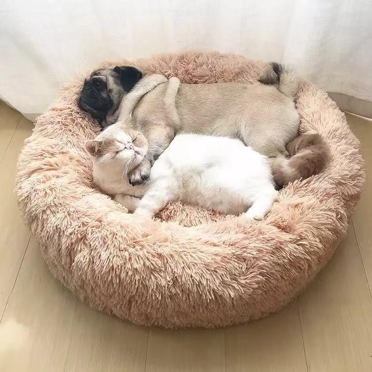 Pawfectly Heaven Bed