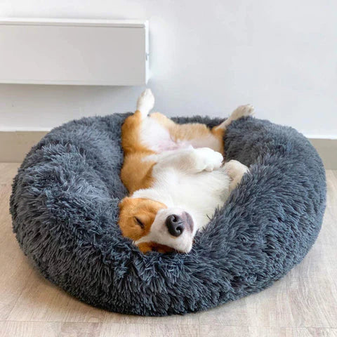 Pawfectly Heaven Bed