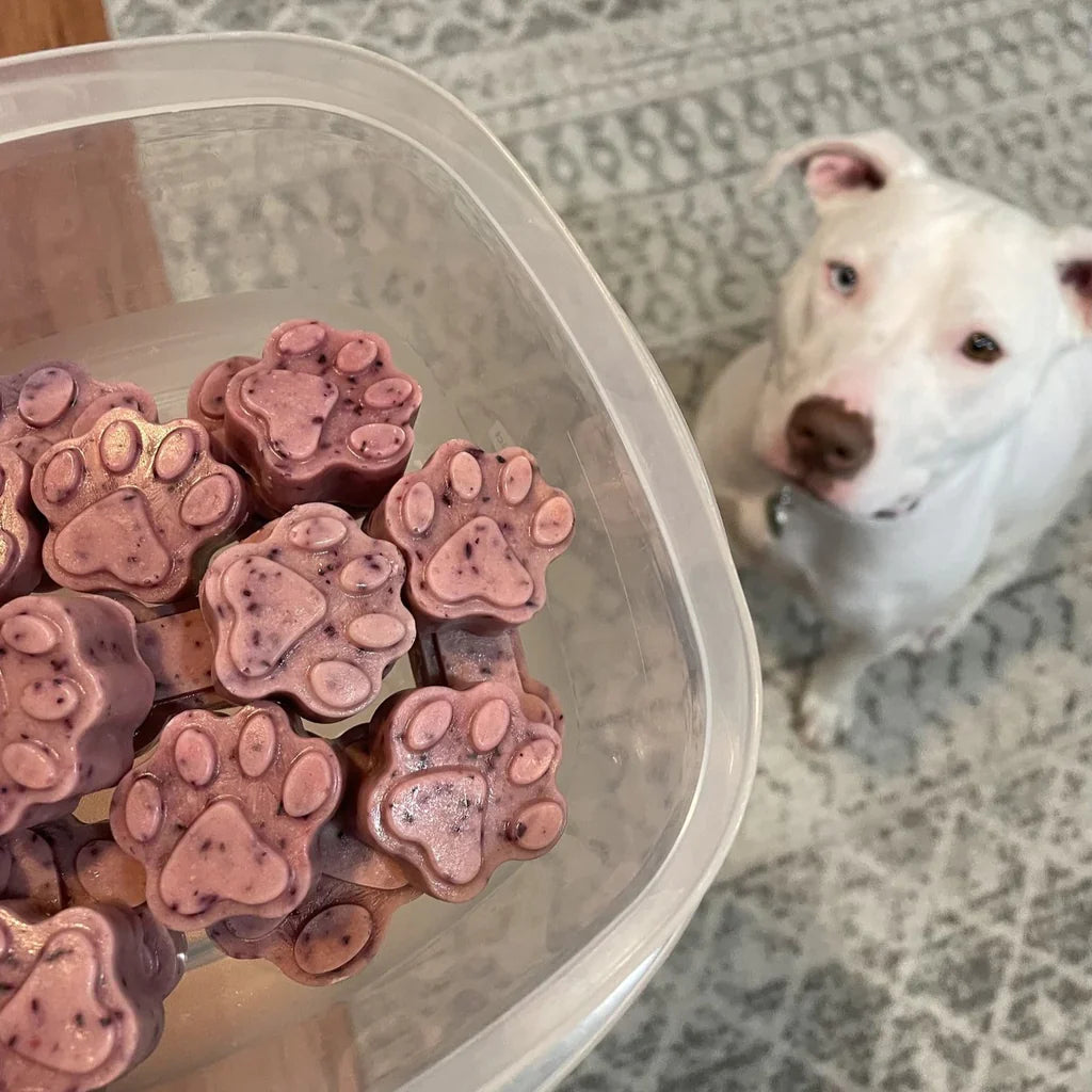 Homemade Dog Treat Kit + 10 FREE Recipes