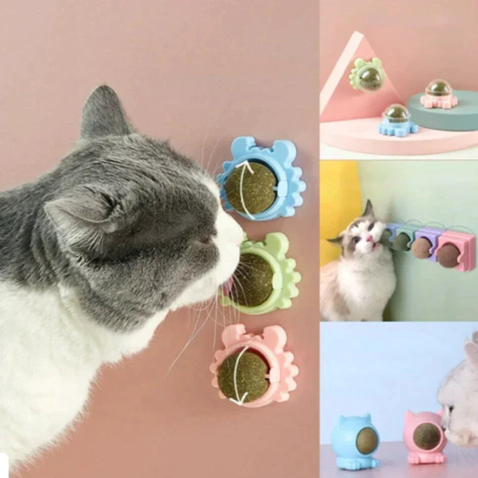 SnackBall - Cat Mint Lick Ball